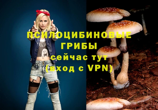 винт Лиски