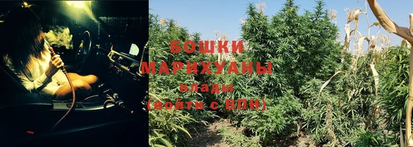 кокс Липки