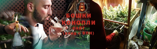 винт Лиски